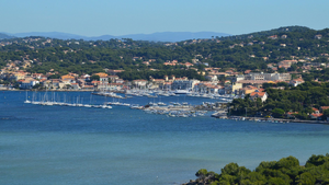 Désinsectisation dératisation Aubagne